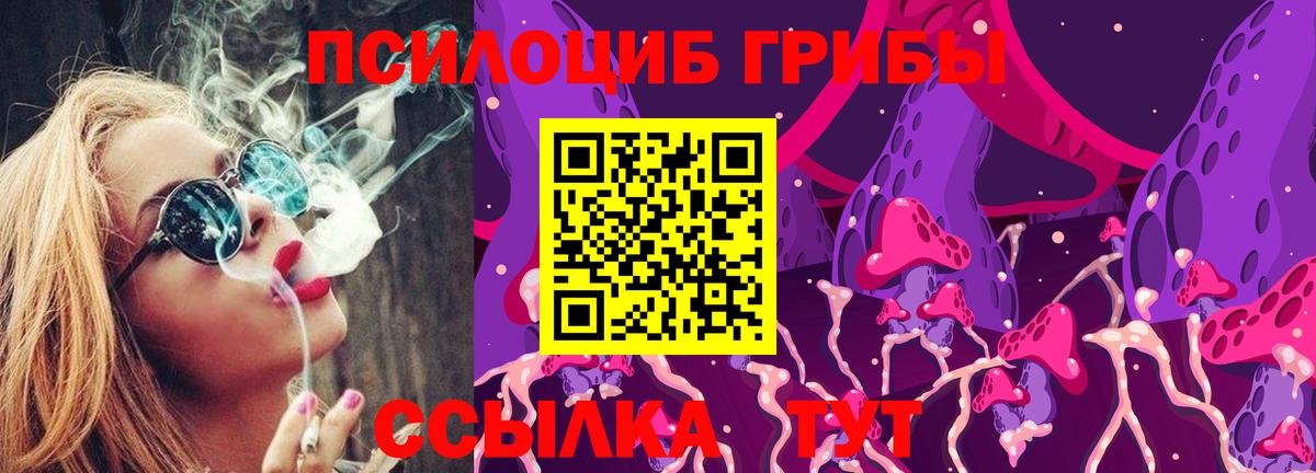 Лосино-Петровский  Галлюциногенные грибы MAGIC MUSHROOMS  Вход с VPN 